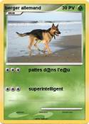 berger allemand