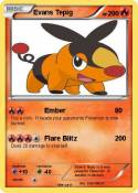 Evans Tepig