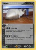 espion