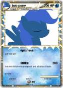 bob pony