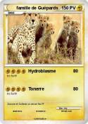 famille de