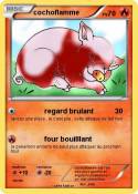cochoflamme