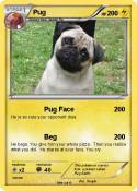 Pug