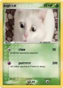 augh cat