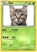 CAT!