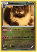 moustachef