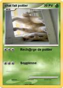 chat fait poiti