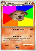 100 dogs