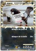 pigeon 11111111
