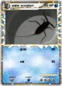 water scorpion