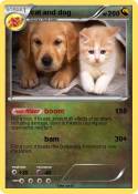 cat and dog