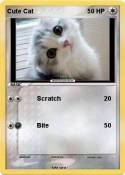 Cute Cat