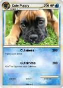 Cute Puppy