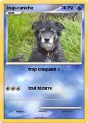 loup-caniche