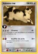 Automne chat