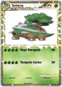 Torterra
