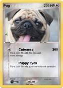 Pug