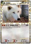 puppy