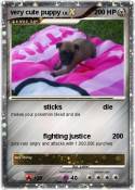 very cute puppy