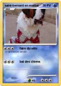 saint-bernard