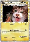 L.O.L cat