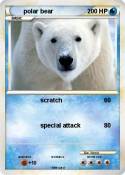 polar bear