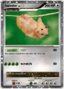 hamster