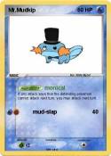 Mr.Mudkip