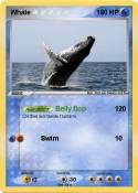 Whale