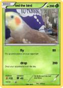 ted the bird