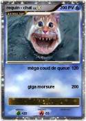 requin - chat