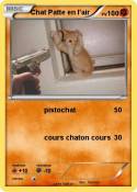 Chat Patte en