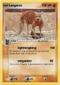 red kangaroo