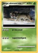 berger allemand