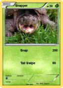 Snapper