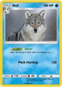 Wolf