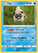 Pug