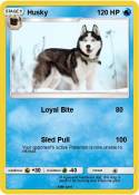 Husky