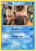 Pug