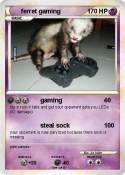 ferret gaming
