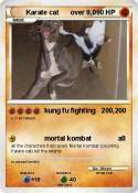 Karate cat over