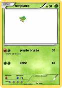 heriplante