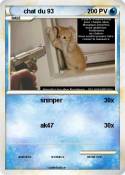 chat du 93