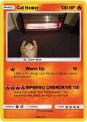 Cat Heater