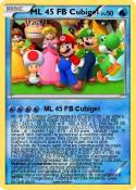 ML 45 FB Cubige