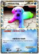 rainbow dog