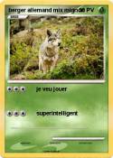 berger allemand