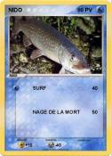 NIDO
