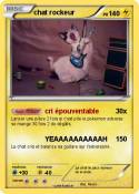 chat rockeur