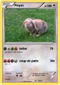 Pinpin
